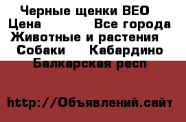 Черные щенки ВЕО › Цена ­ 5 000 - Все города Животные и растения » Собаки   . Кабардино-Балкарская респ.